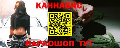 гидра Будённовск