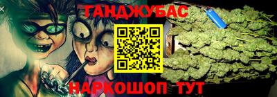 гидра Будённовск
