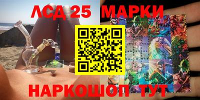 гидра Будённовск