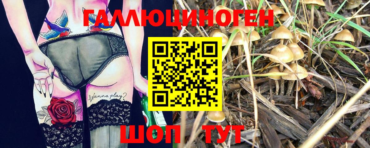 Псилоцибиновые грибы прущие грибы Смоленск